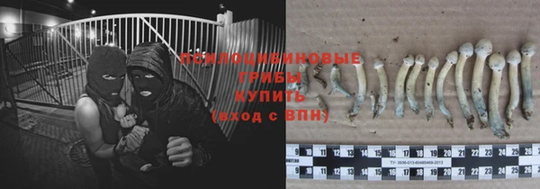 каннабис Баксан
