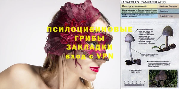 гидра Балахна