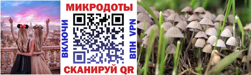 Псилоцибиновые грибы ЛСД  Купить  Среднеуральск 